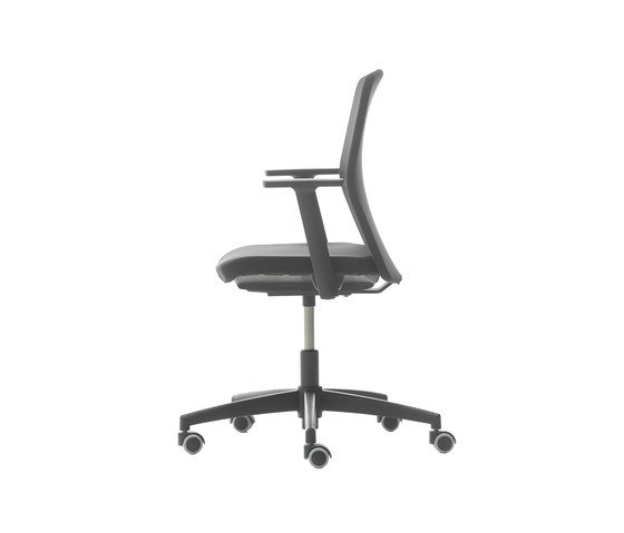 D Chair Fixed Low Back | Sillas de oficina | Nurus