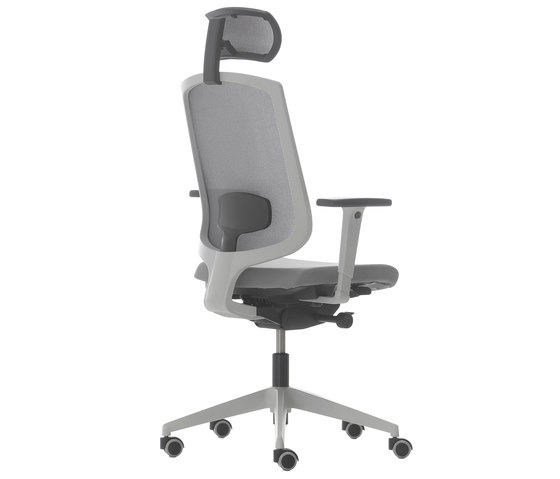 Breeze Pro Support® Chair | Chaises de bureau | Nurus