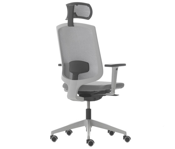 Breeze Dyna Support® Chair | Office chairs | Nurus