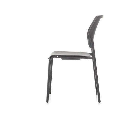 Trea Cushionless | Chairs | Nurus