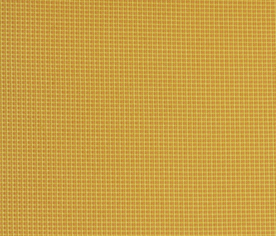 Sunbrella Bengali 10108 Honey | Tessuti imbottiti | Design2Chill