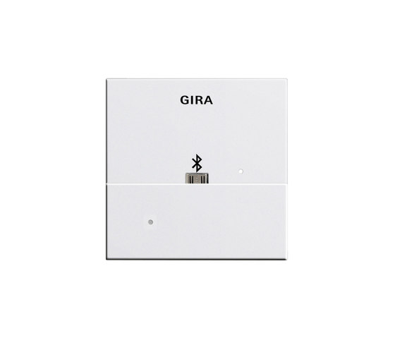Aufsatz Dockingstation für USB Micro-B | System 55 | Smartphone / Tablet Dockingstationen | Gira