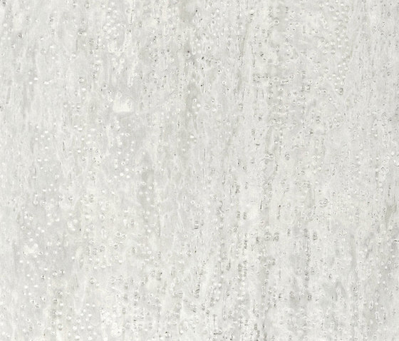 ALPIlignum Pure White Erable 10.09 | Wall veneers | Alpi