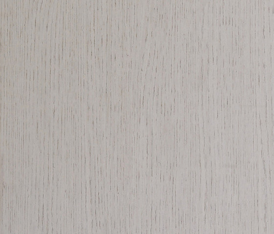 ALPIlignum Ivory Oak 10.81 | Placages | Alpi