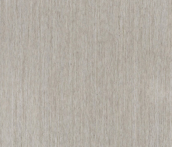 ALPIlignum Sahara Sand Oak 11.01 | Wall veneers | Alpi