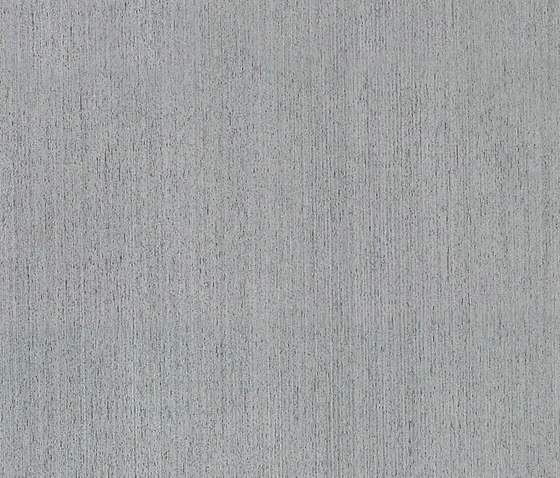 ALPIlignum Platinum Oak 11.02 | Wand Furniere | Alpi