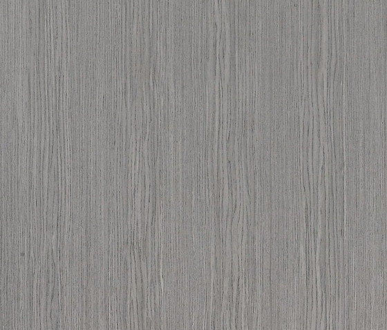 ALPIlignum Steady Dove Grey Oak 11.05 | Wall veneers | Alpi