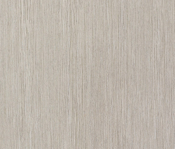 ALPIlignum Shell Sand Oak 11.06 | Placages | Alpi