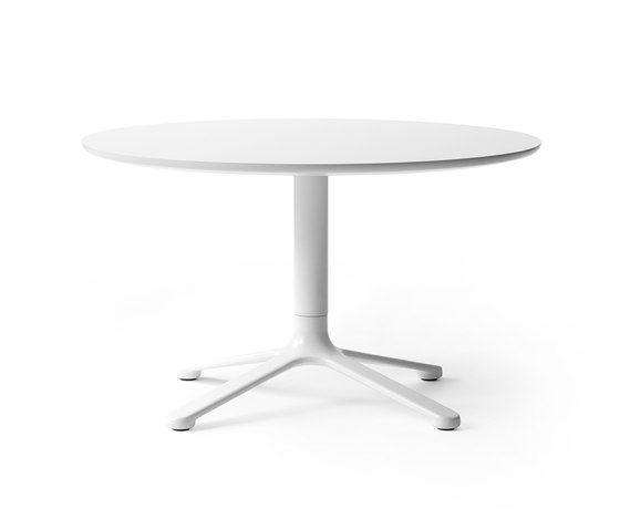 Scoop Table | Tables basses | +Halle