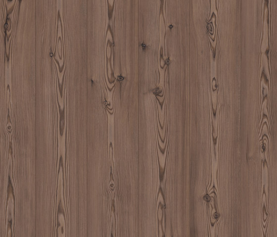 Endless Plank thermotreated pine | Laminatböden | Pergo