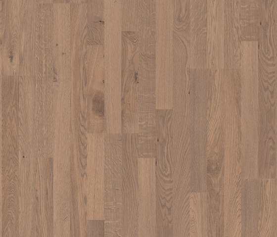Classic Plank natural wild oak 3-strip | Laminate flooring | Pergo