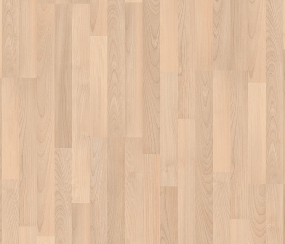 Classic Plank supreme beech 3-strip | Laminate flooring | Pergo