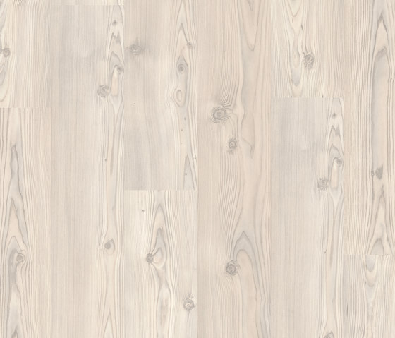 Domestic Extra silver pine | Laminate flooring | Pergo