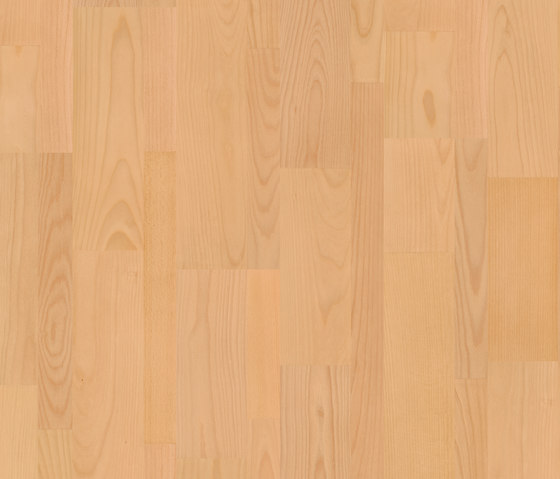 Domestic Extra thermotreated beech | Laminate flooring | Pergo