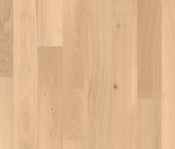 Bornholm sand oak | Wood flooring | Pergo