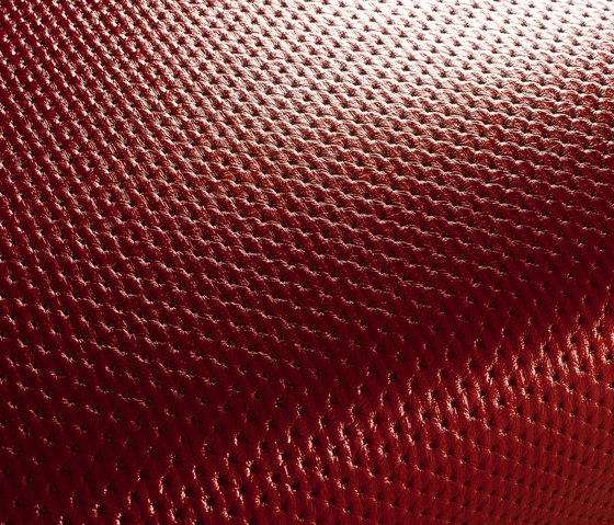 CATWALK CA7956/010 | Upholstery fabrics | Chivasso