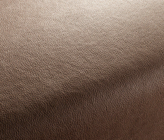 BOXTER CA1038/020 | Upholstery fabrics | Chivasso