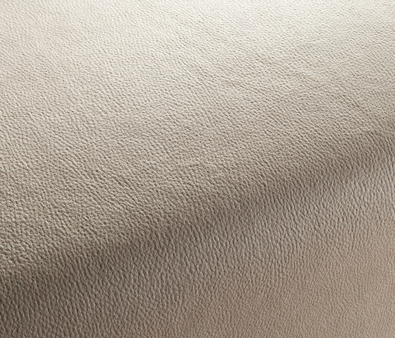 BOXTER CA1038/071 | Upholstery fabrics | Chivasso