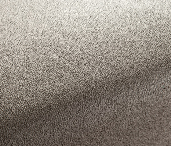 BOXTER CA1038/072 | Upholstery fabrics | Chivasso