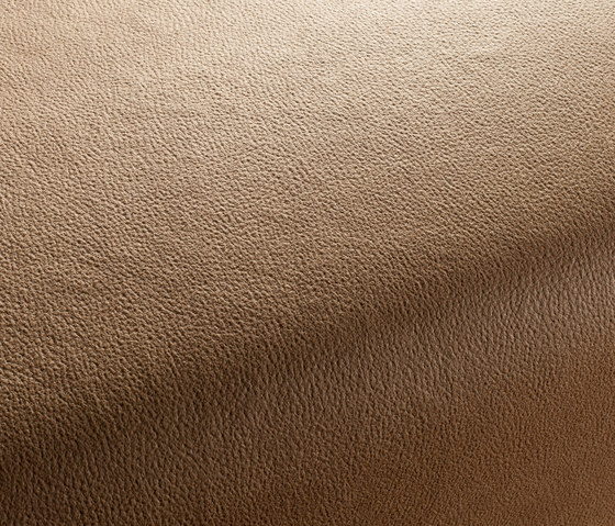 BOXTER CA1038/073 | Upholstery fabrics | Chivasso