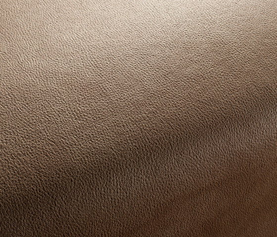 BOXTER CA1038/074 | Upholstery fabrics | Chivasso