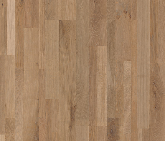 Jomfruland mountain oak | Wood flooring | Pergo
