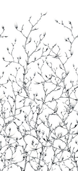 Twigs Desiree-Chintz | Tissus de décoration | DELIUS
