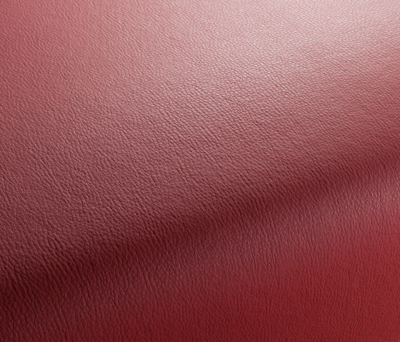 MERCURY CA7933/010 | Upholstery fabrics | Chivasso