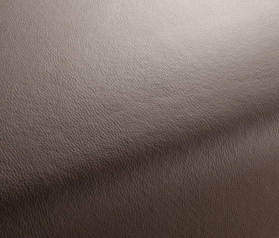 MERCURY CA7933/021 | Upholstery fabrics | Chivasso