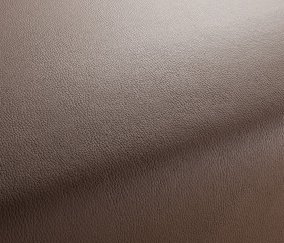 MERCURY CA7933/022 | Upholstery fabrics | Chivasso