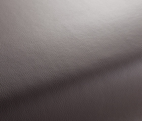 MERCURY CA7933/093 | Upholstery fabrics | Chivasso