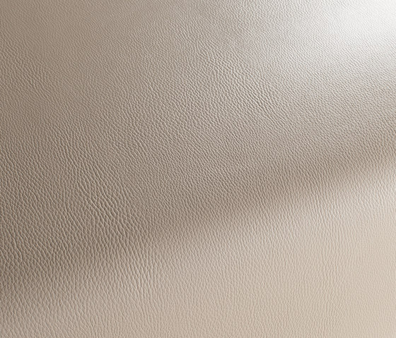 MOCASSIN CA7784/072 | Upholstery fabrics | Chivasso