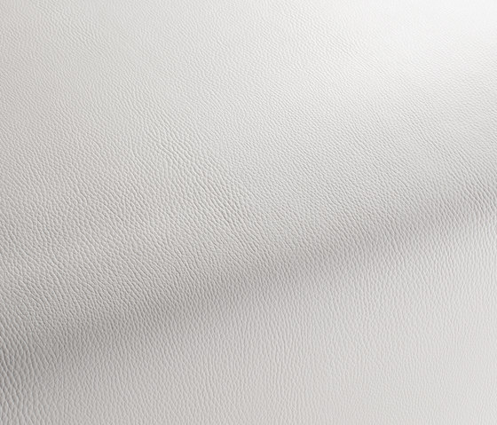MOCASSIN CA7784/090 | Upholstery fabrics | Chivasso