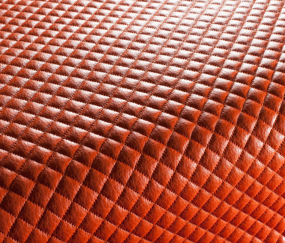 STAR CA1131/060 | Upholstery fabrics | Chivasso
