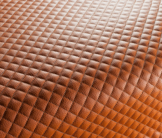 STARLET CA1130/060 | Upholstery fabrics | Chivasso
