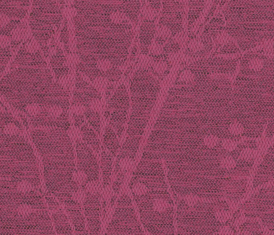 Halcyon Blossom Petal | Tessuti imbottiti | Camira Fabrics