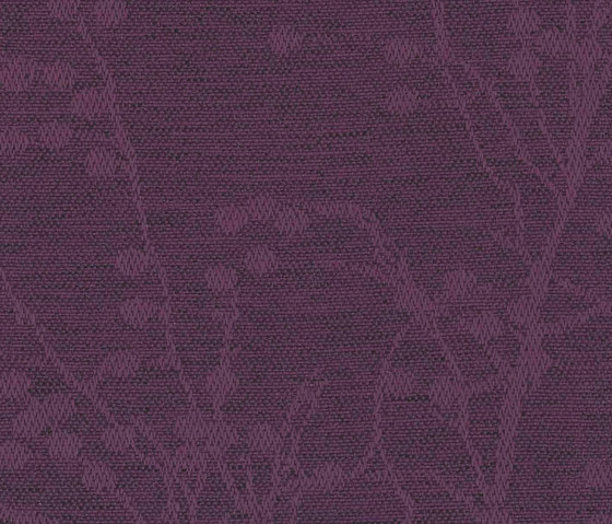 Halcyon Blossom Berry | Tissus d'ameublement | Camira Fabrics