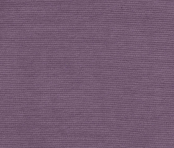 Halcyon Poplar Lavender | Tissus d'ameublement | Camira Fabrics