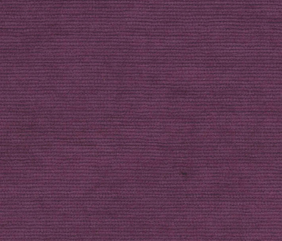 Halcyon Poplar Berry | Möbelbezugstoffe | Camira Fabrics