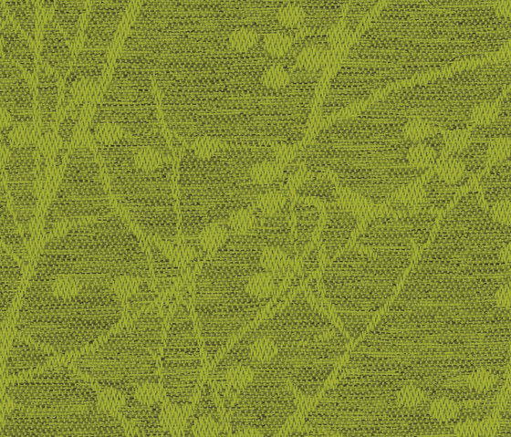 Halcyon Blossom Gooseberry | Tessuti imbottiti | Camira Fabrics