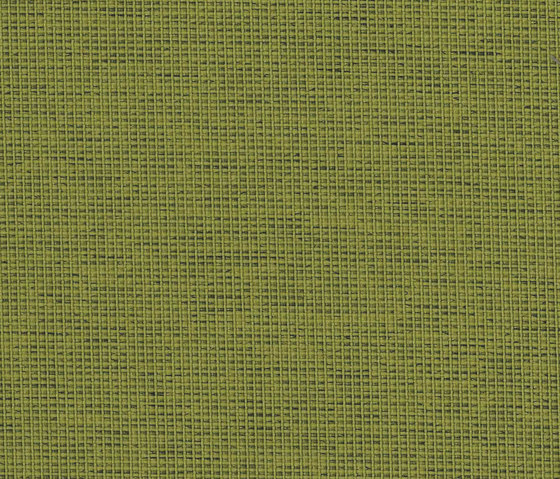 Halcyon Cedar Evergreen | Tessuti imbottiti | Camira Fabrics