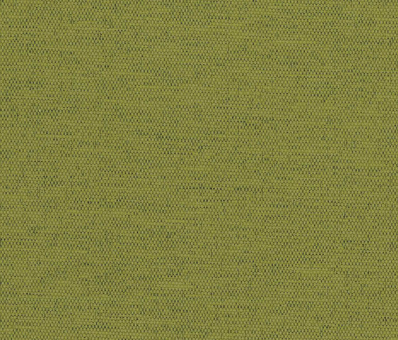 Halcyon Linden Evergreen | Tissus d'ameublement | Camira Fabrics