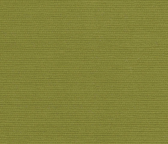 Halcyon Poplar Evergreen | Tissus d'ameublement | Camira Fabrics