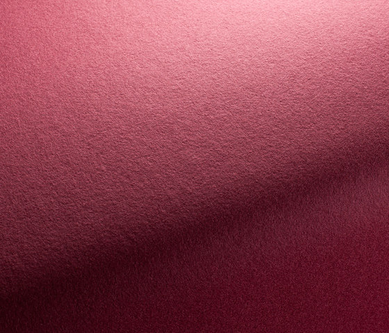 KAVALLERIETUCH-DRAP 1-1225-081 | Upholstery fabrics | JAB Anstoetz
