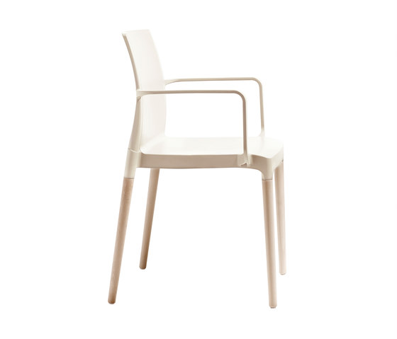 Natural Chloé | Chairs | SCAB Design