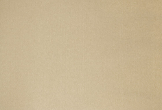 Orbit DELIBLACK | 1543 | Tissus de décoration | DELIUS