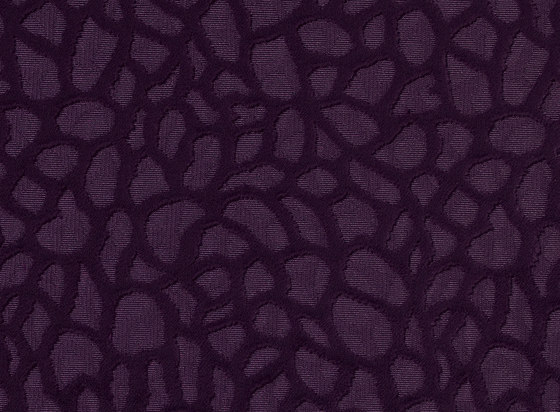 Viola | 4552 | Drapery fabrics | DELIUS