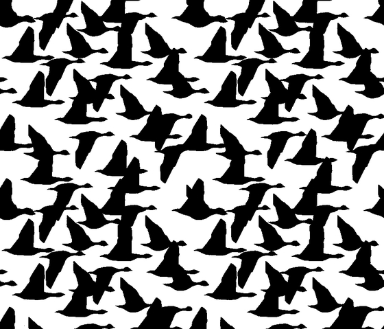 GCNature Geese | Hormigón liso | Graphic Concrete