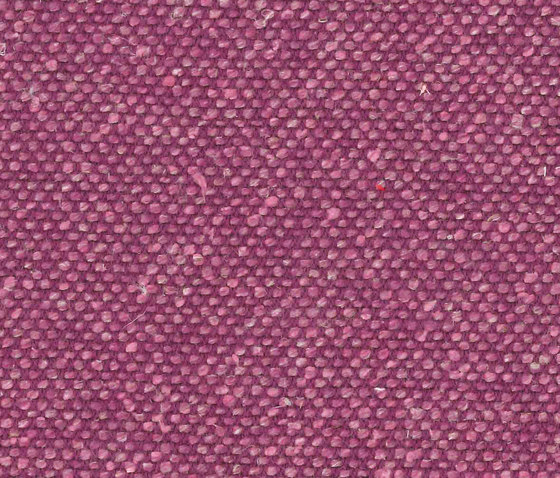 Silk Forbidden | Möbelbezugstoffe | Camira Fabrics