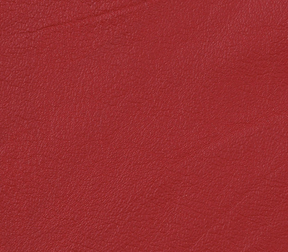 Vintage Morgan | Natural leather | Camira Fabrics